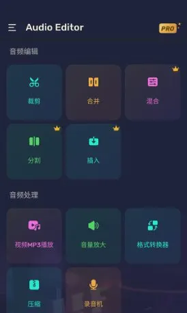 Audio Editor音频编辑v2.01.49.0311专业版_摸鱼资源网