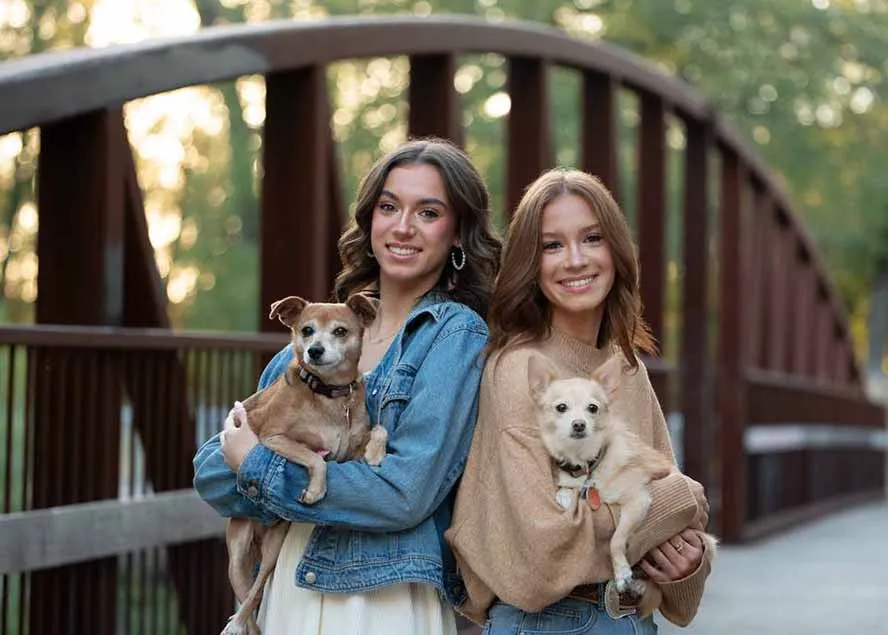 大师级GTG出品-老友记系列AI自适应预设The Friends Preset Collection-摸鱼资源网