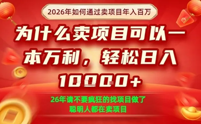 一单净利润1K+，26年想年入100个W，死磕卖项目就够了【揭秘】_摸鱼资源网