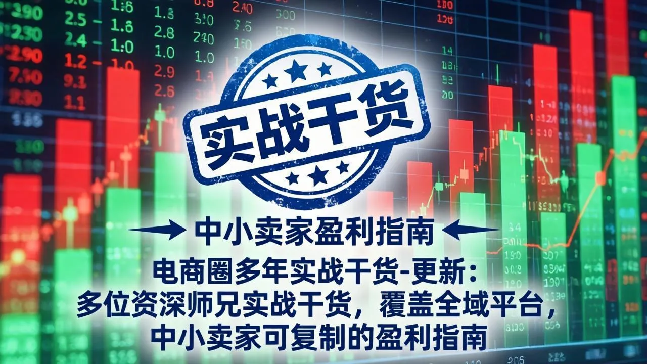 电商圈多年实战干货-更新4月：多位资深师兄实战干货，覆盖全域平台，中小卖家可复制的盈利指南_摸鱼资源网