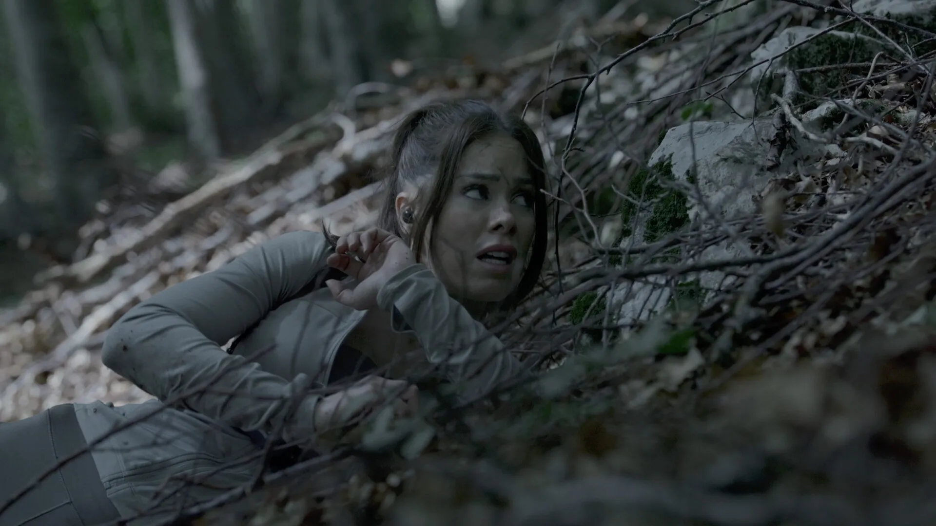 奔跑/The Run 奔跑/The Run