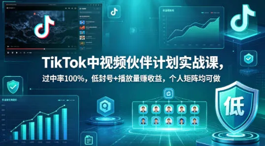 TikTok中视频伙伴计划实战课，过中率100%，低封号+播放量賺收益，个人矩阵均可做_摸鱼资源网