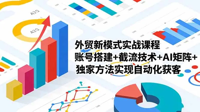 外贸新模式实战课程-更新2月，账号搭建+截流技术+AI矩阵+独家方法实现自动化获客_摸鱼资源网