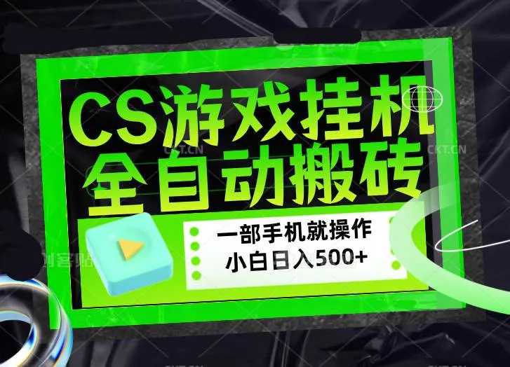 （17876期）CSGO游戏挂机捡漏搬砖，超稳定的项目，带领1000+小白实现日入500+，数据可视频验证_摸鱼资源网