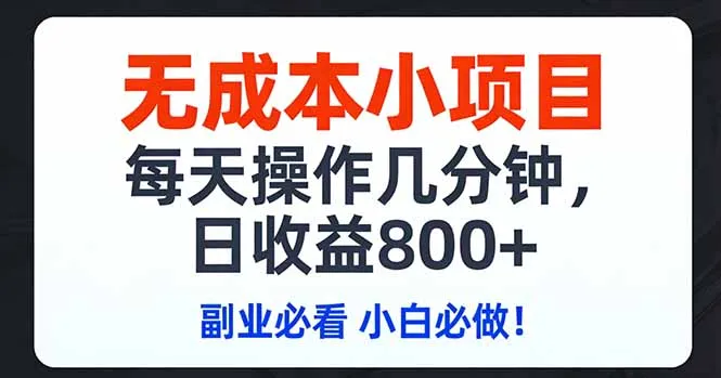 无成本小项目,每天操作几分钟,日收益800+ 副业必看 小白必做！_摸鱼资源网