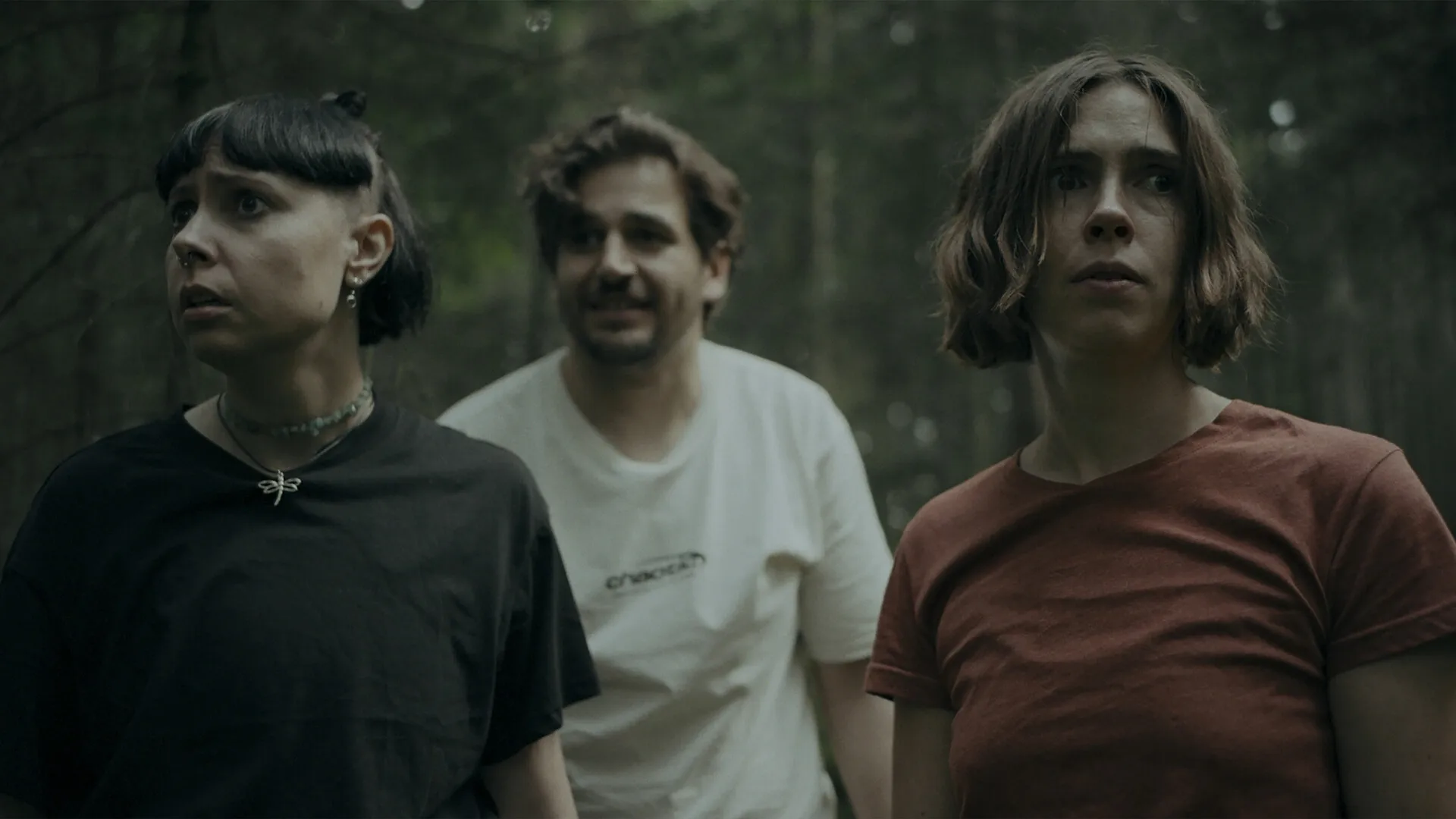 幽林深处/Heart of the Forest 幽林深处/Heart of the Forest