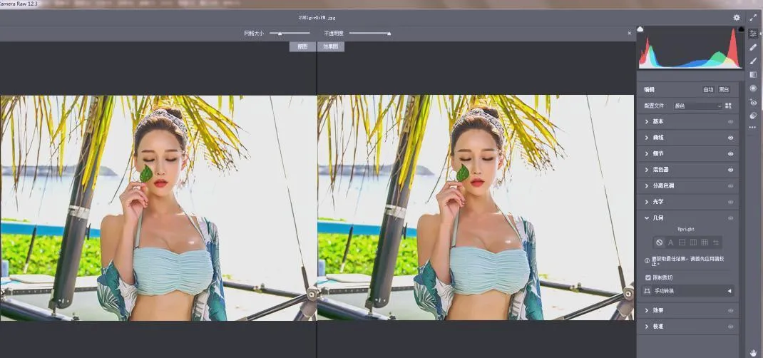 RAW处理Adobe Camera Raw v18.2.0中文版_摸鱼资源网
