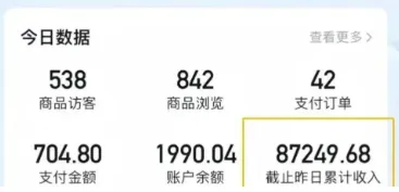 2026新手也能操作的带货玩法，用这个方法零门槛，轻松月入10000+_摸鱼资源网