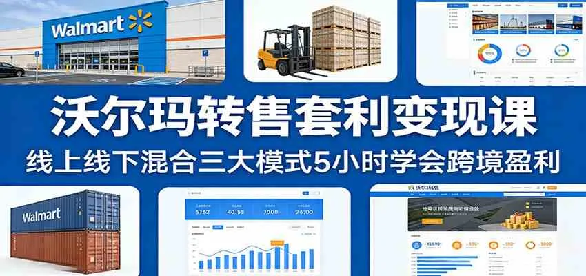 沃尔玛转售套利变现课：线上线下混合三大模式5小时学会跨境盈利_摸鱼资源网