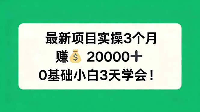 最新项目实操3个月，赚钱20000+，0基础小白3天学会！_摸鱼资源网