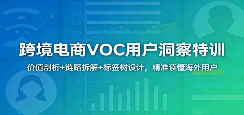 跨境电商VOC用户洞察特训：价值剖析+链路拆解+标签树设计，精准读懂海外用户_摸鱼资源网