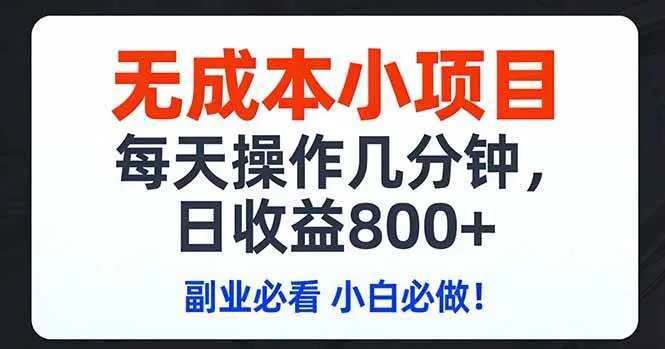 （17447期）无成本小项目,每天操作几分钟,日收益800+ 副业必看 小白必做！_摸鱼资源网