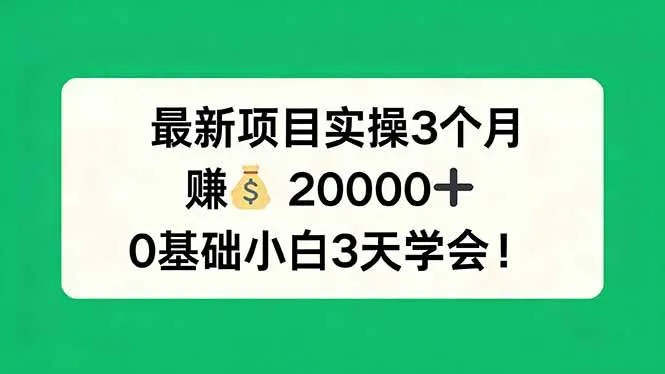 （17856期）最新项目实操3个月，赚钱20000+，0基础小白3天学会！_摸鱼资源网