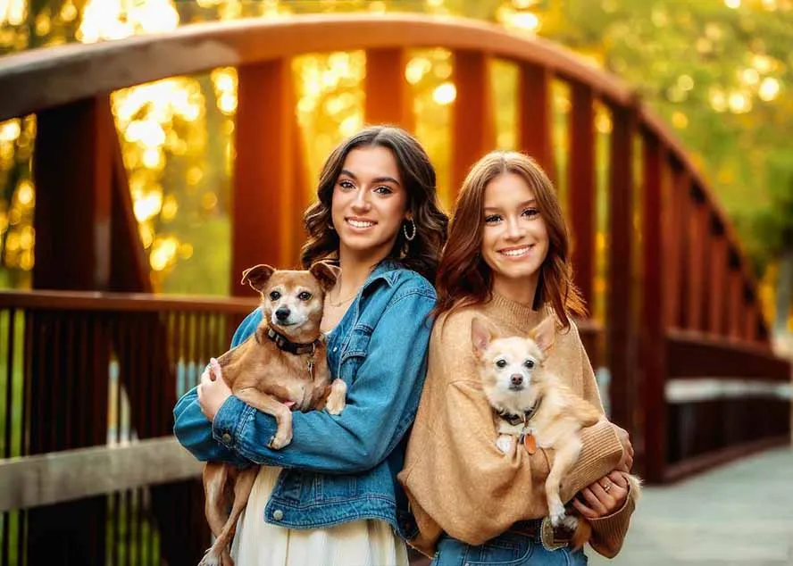 大师级GTG出品-老友记系列AI自适应预设The Friends Preset Collection-摸鱼资源网