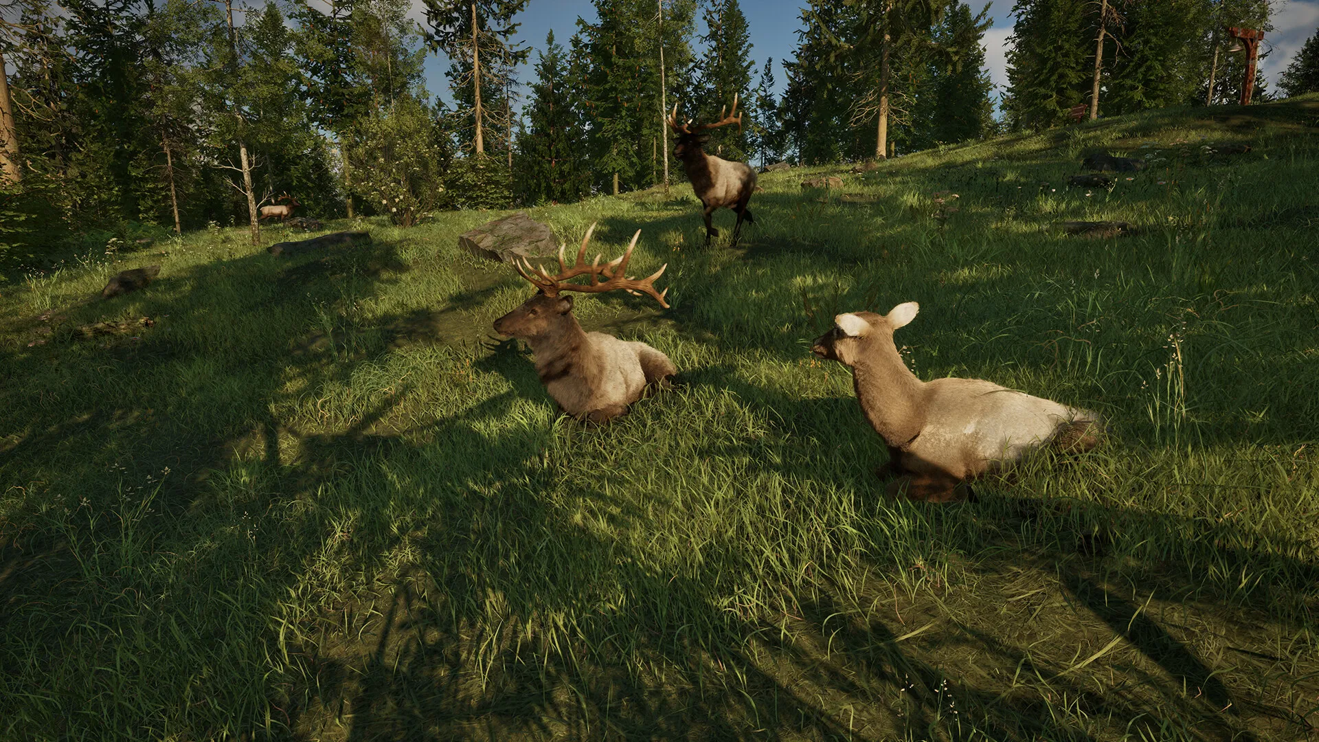 护林员之路：国家公园模拟器/Ranger’s Path: National Park Simulator_摸鱼资源网