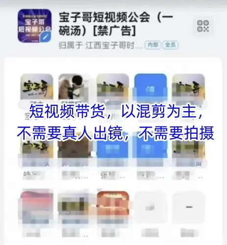 宝子哥头部团队短视频带货，以混剪为主，不需要真人出镜，不需要拍摄【更新26年3月】_摸鱼资源网