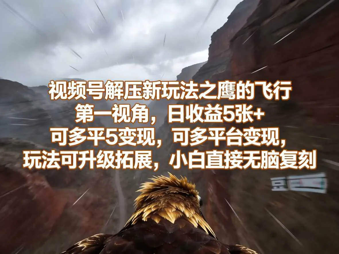 视频号解压新玩法之鹰的飞行第一视角，日收益5张+，可多平台变现，玩法可升级拓展，小白直接无脑复刻_摸鱼资源网