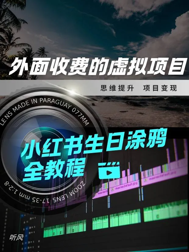 外面收费的小众虚拟项目，小红薯生日涂鸦，每日50-2张_摸鱼资源网