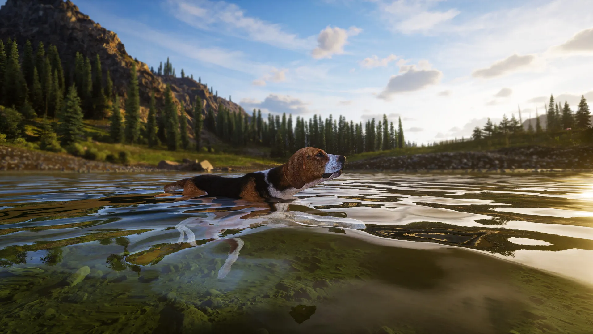 狩猎之道2/Way of the Hunter 2_摸鱼资源网