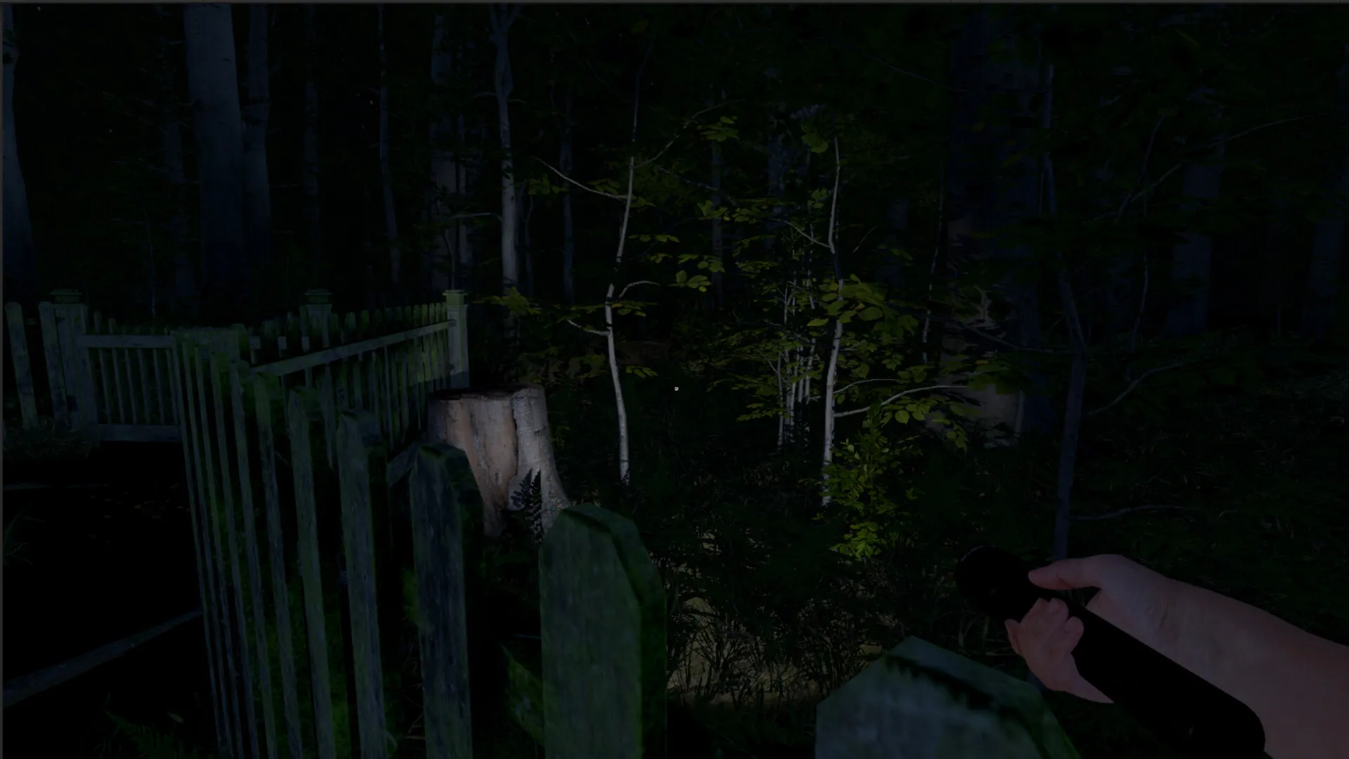 灰人：人类绑架/The Greys: Human Abductions